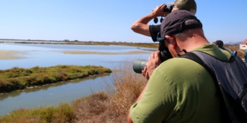 Delta Birding Festival
