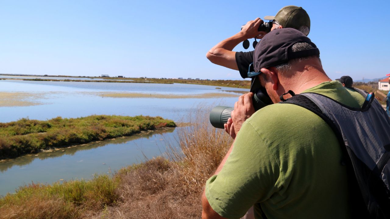 Delta Birding Festival
