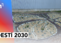 Destí 2030: Jardí de plantes aromàtiques per a insectes pol·linitzadors