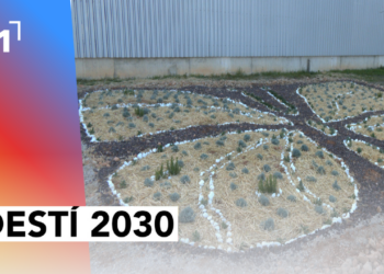 Destí 2030: Jardí de plantes aromàtiques per a insectes pol·linitzadors