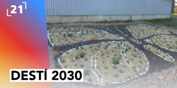 Destí 2030: Jardí de plantes aromàtiques per a insectes pol·linitzadors