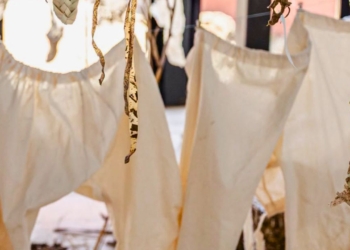 Exposició 'La pell del Delta' al Centre d’Art Lo Pati d'Amposta