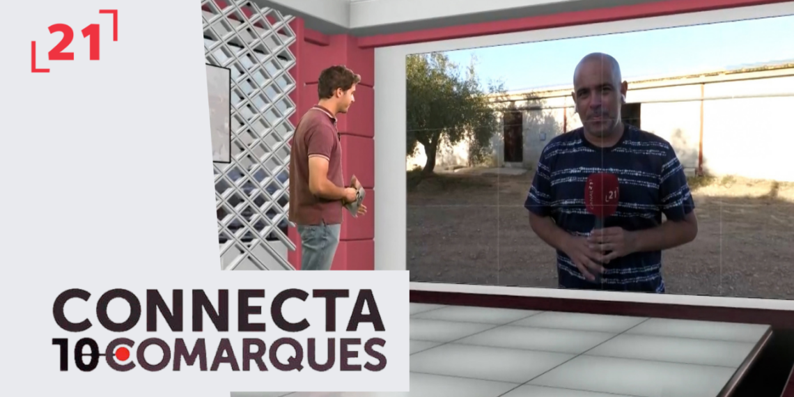 L’Econau posa en marxa un deshidratador solar per a garrofes i altres productes agrícoles