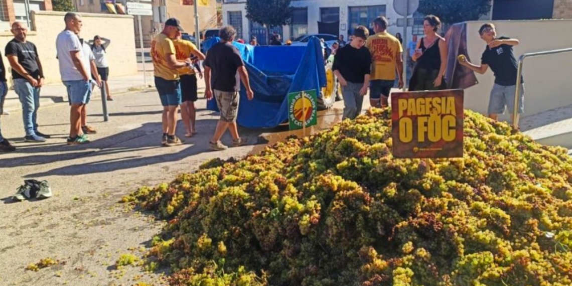 mobilització d’Unió de Pagesos pels carrers de Gandesa