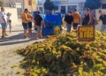 mobilització d’Unió de Pagesos pels carrers de Gandesa