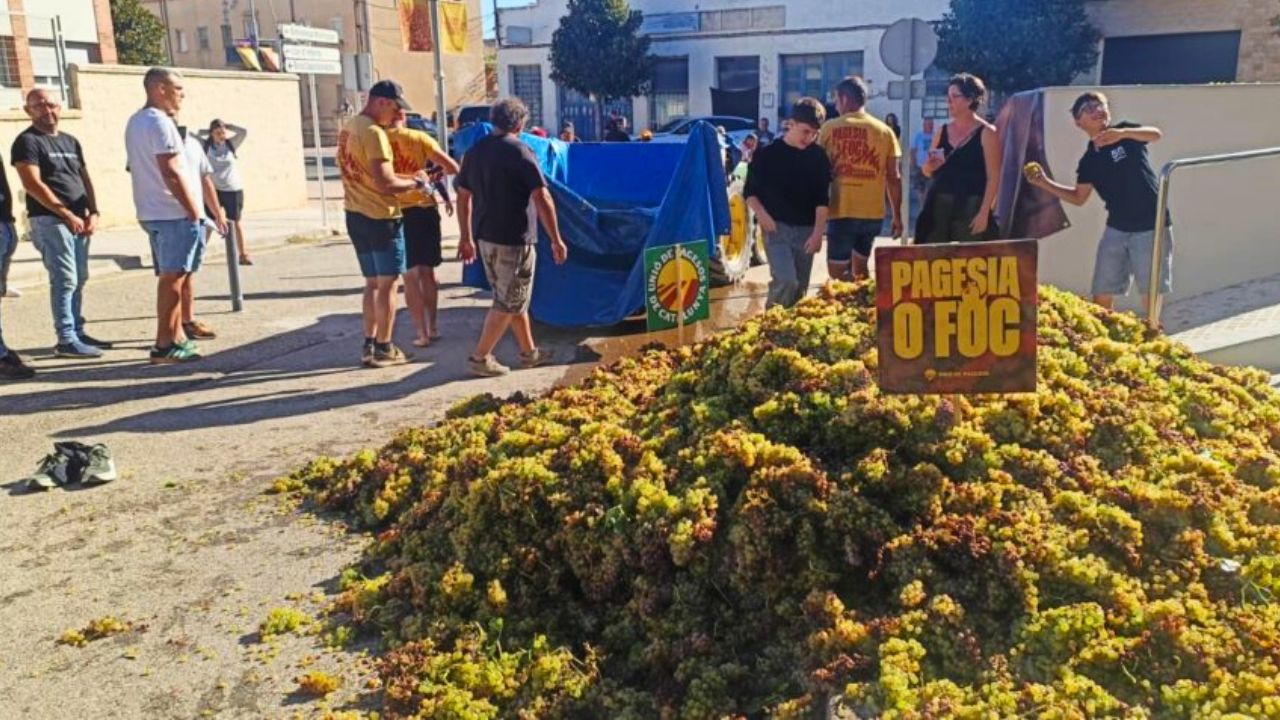 mobilització d’Unió de Pagesos pels carrers de Gandesa