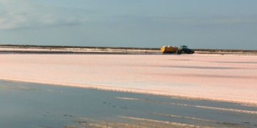 Maquinària treballant durant la collita de sal a les Salines de la Trinitat