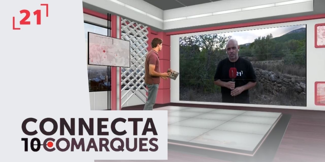 Els ecologistes demanen prohibir la caça d’aus aquàtiques en perill al Delta