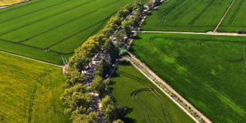 L’Aldea Viles Florides