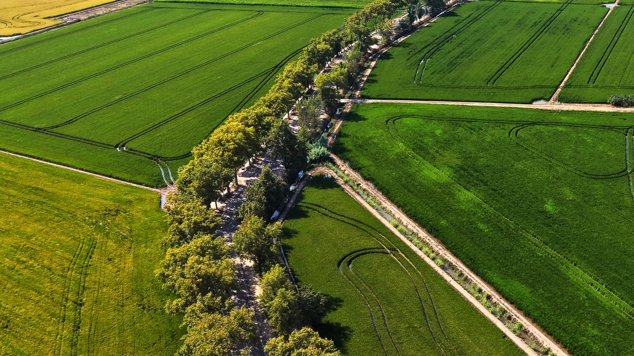 L’Aldea Viles Florides