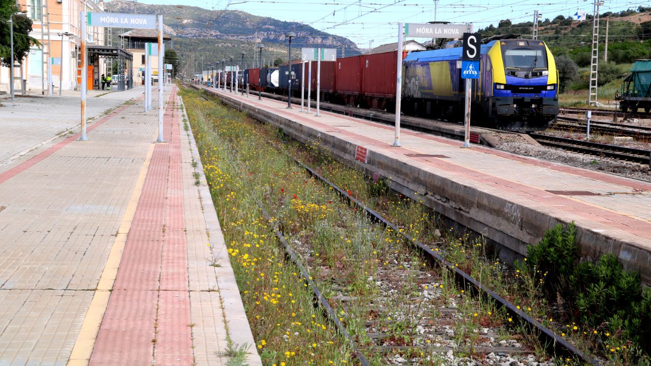 Tren de la línia R15 a la Ribera d’Ebre