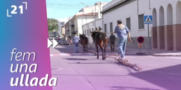 fira senia tronc rossegador
