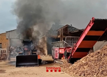 Incendi a l’exterior d’una planta de fusta a Tortosa