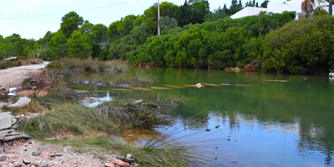 Llacuna litoral de l’Ametlla de Mar després de les darreres barrancades