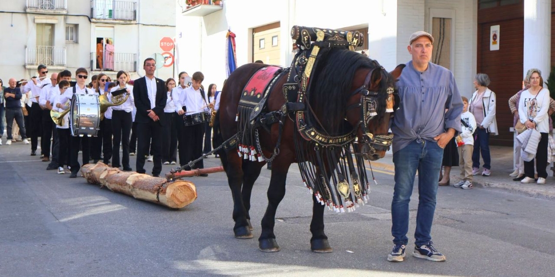 Recreació de l’ofici dels arrossegadors amb matxos durant la Fira de la Fusta i el Moble de la Sénia