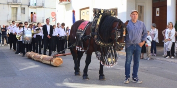 Recreació de l’ofici dels arrossegadors amb matxos durant la Fira de la Fusta i el Moble de la Sénia